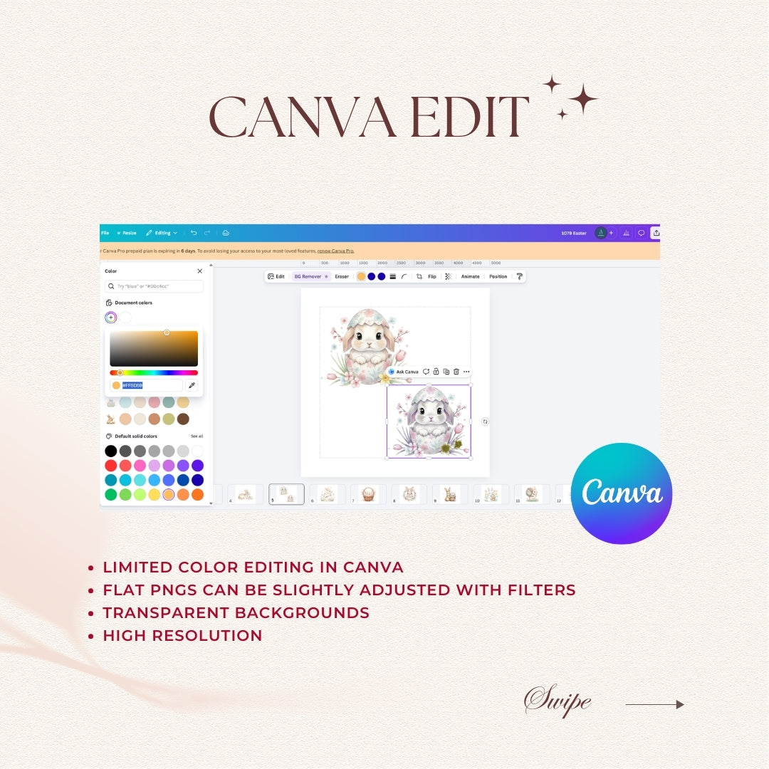 Canva editing software interface with color palette and image editing tools on a light background.