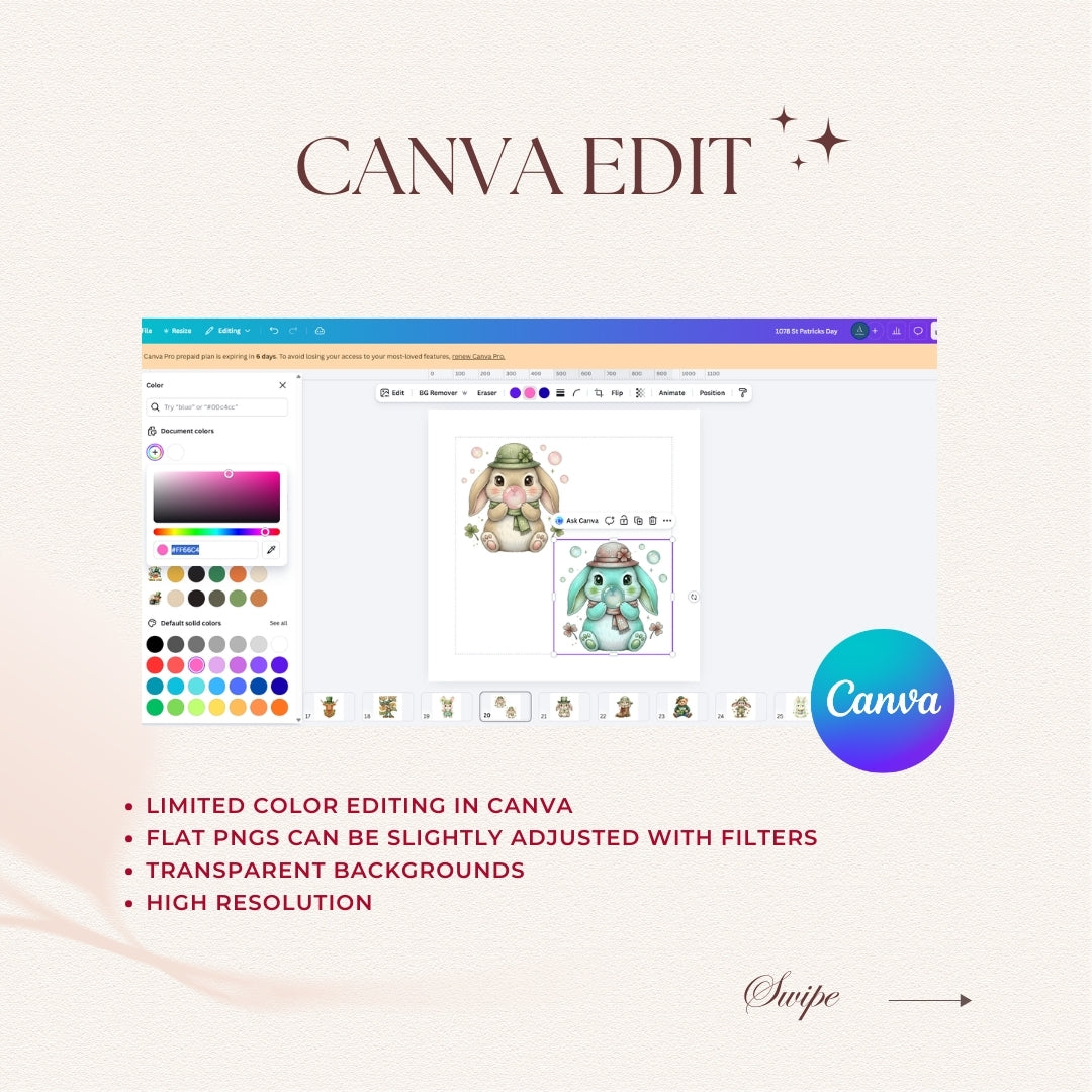 Canva editing software interface with a character image and color palette on a light background.