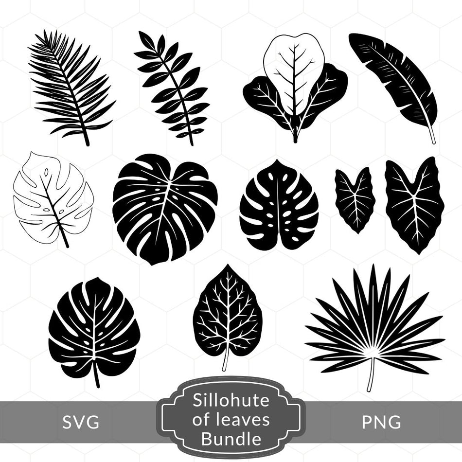 Leaf Silhouette PNG SVG Bundle - Monstera Cut File Set A 1905