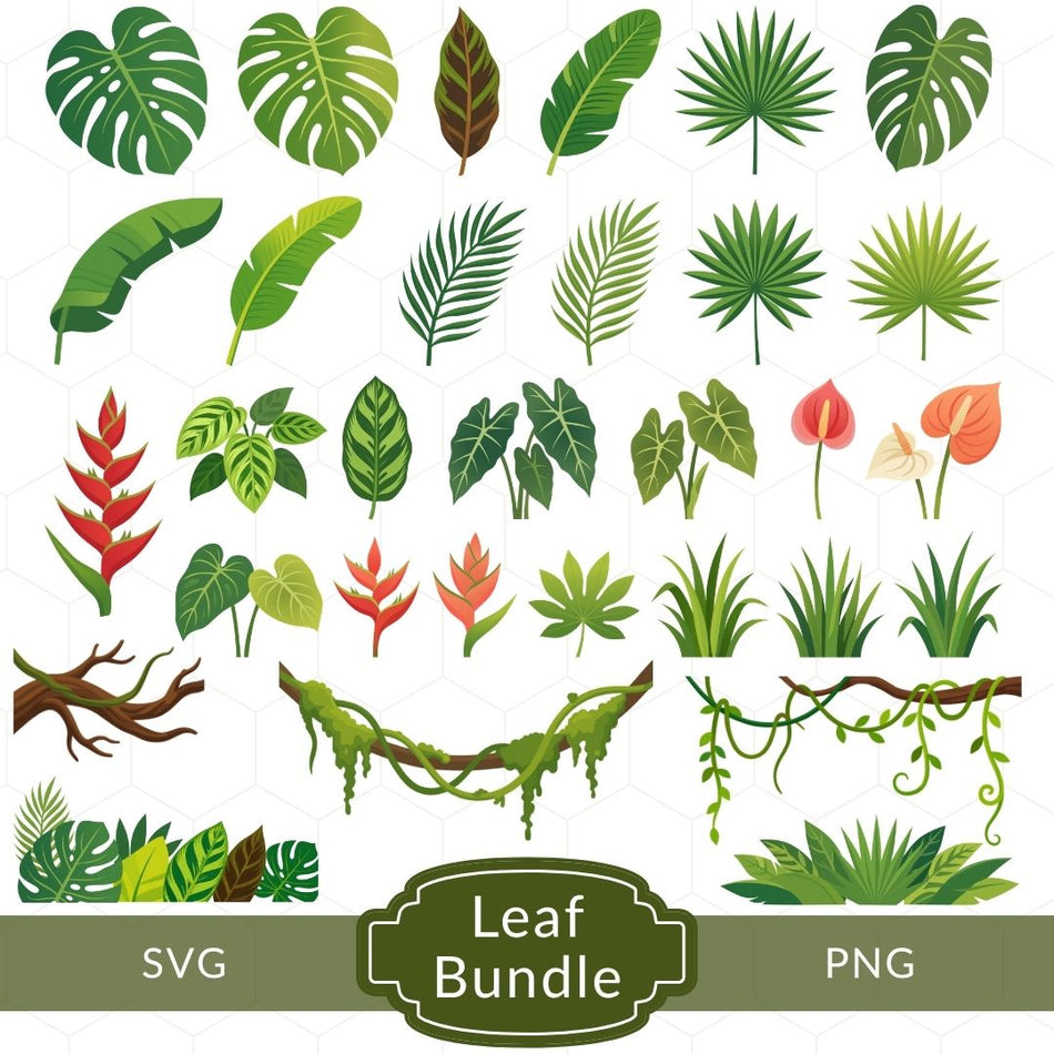 A collection of various vector tropical leaves, palm fronds, monstera, anthurium flowers, and vines clipart in SVG and PNG formats labeled Leaf Bundle.